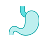 Stomach